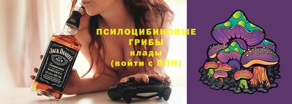 герыч Козельск