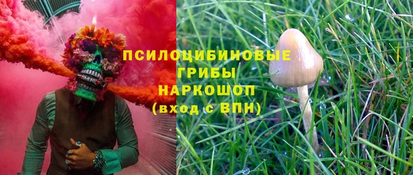 герыч Козельск