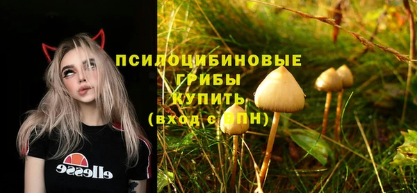 не бодяженный Кодинск