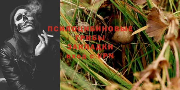 spice Козловка