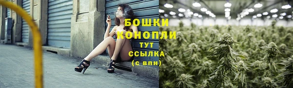 spice Козловка
